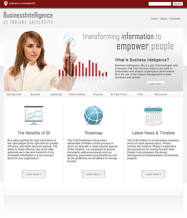 Business Intelligence Website Homepage