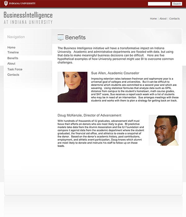 Business Intelligence Website Subpage